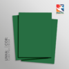 COLOR PLUS BRASIL