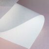 Cottone 100 Algodao Premium White